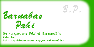 barnabas pahi business card